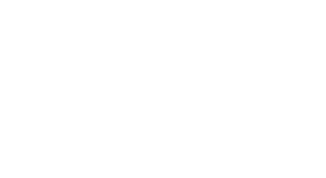 FEX Logo